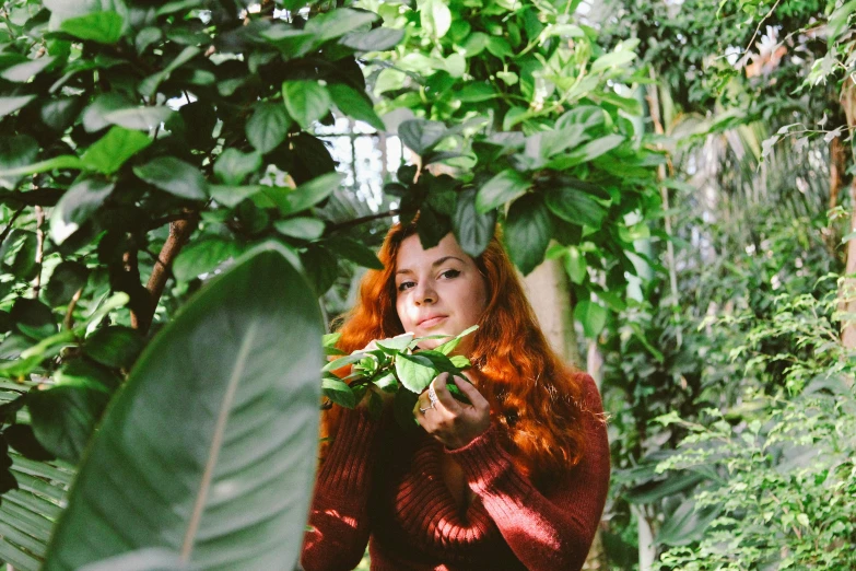 the woman in a red sweater is looking out over some leaves