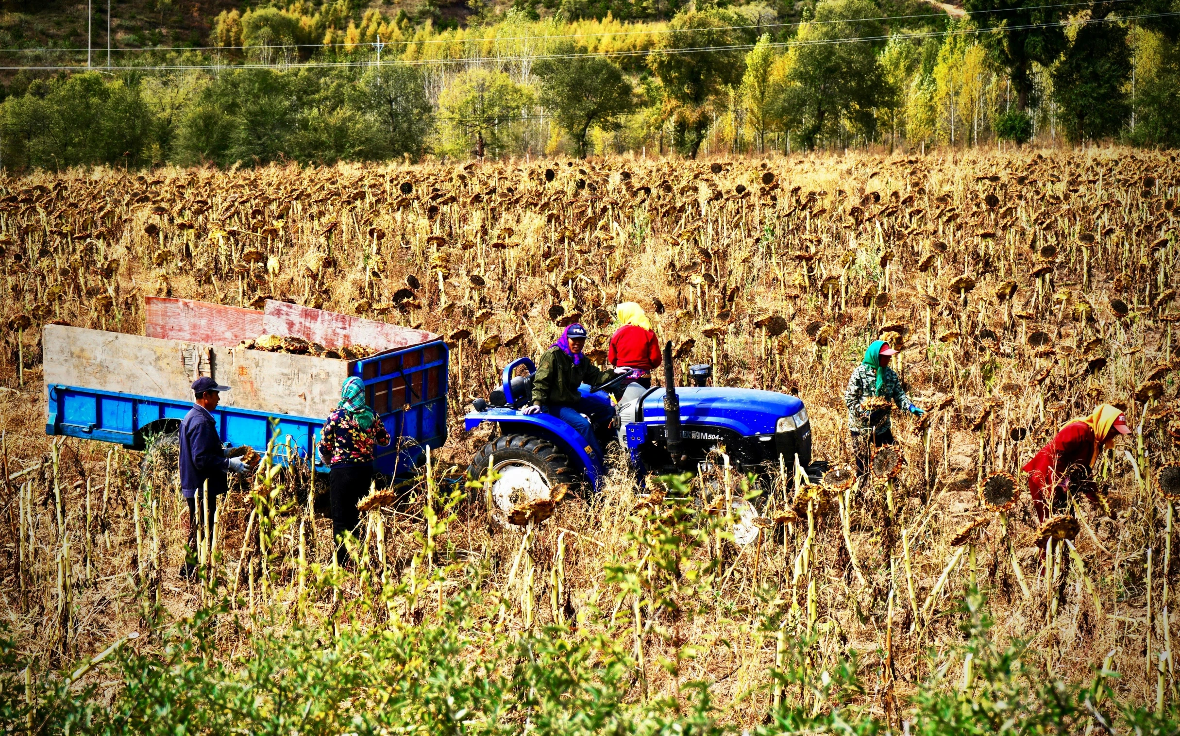 there are men that are in a large field