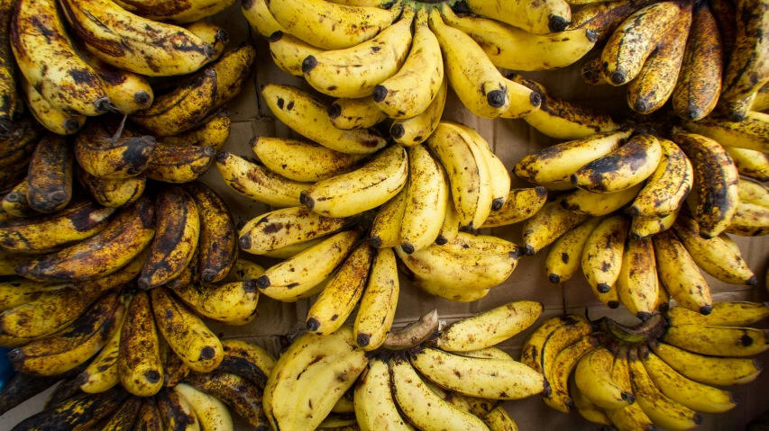 bunches of yellow and red bananas displayed on table