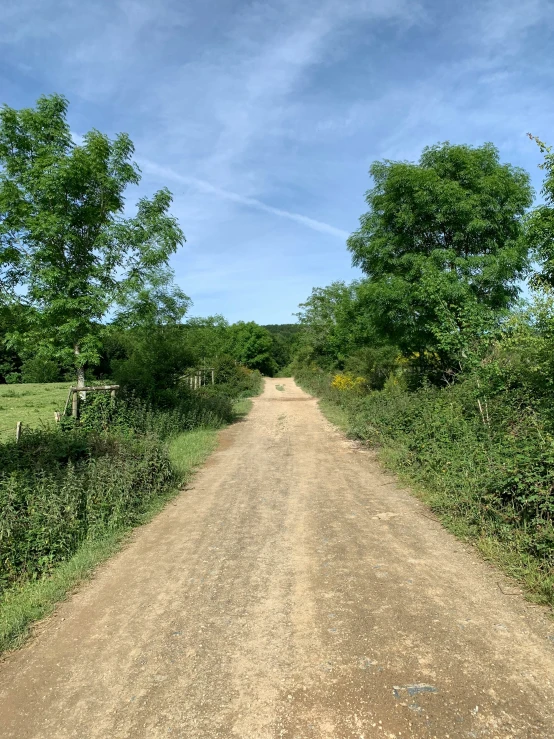 the dirt road is lined with green trees and shrubs