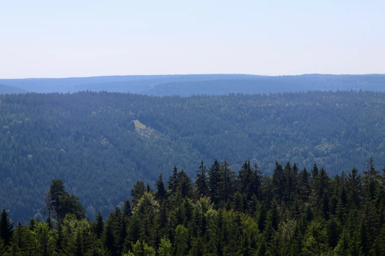 view from the top of the mountains towards the forest