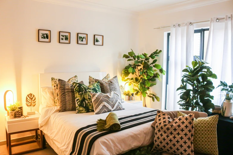 an image of a bedroom setting with plant and furniture