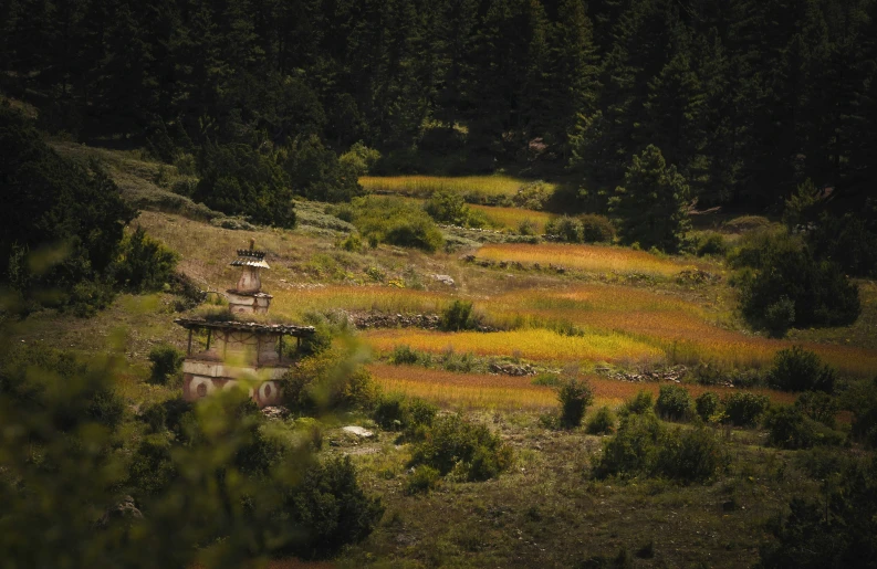 an abandoned building on a green hill in the woods