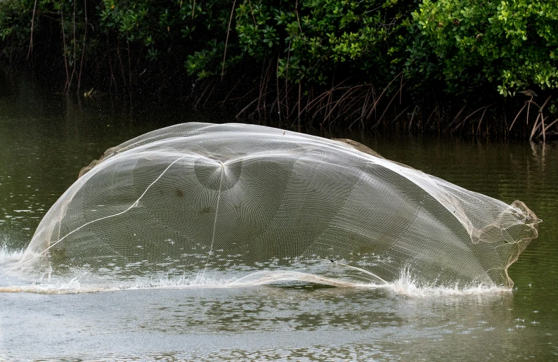 a person using a net to retrieve a piece of fishing