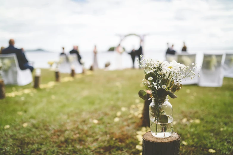 vase of flowers sitting on a wooden log in the grass