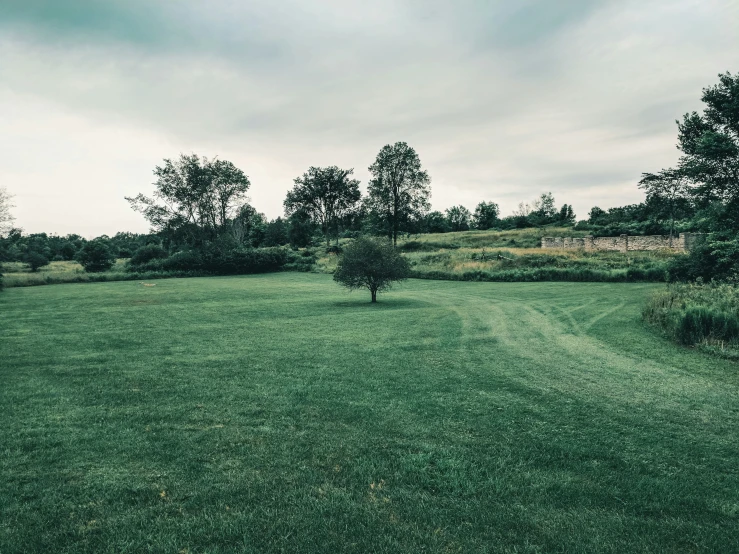 a big grassy field with some trees on the side