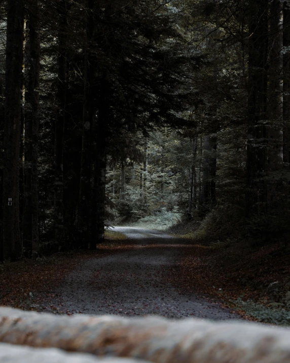 a bench in the middle of an empty road