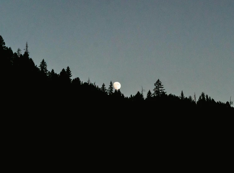 the full moon is seen above a wooded area