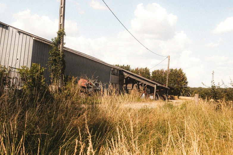 the view of an old farm shows some green plants and a barn