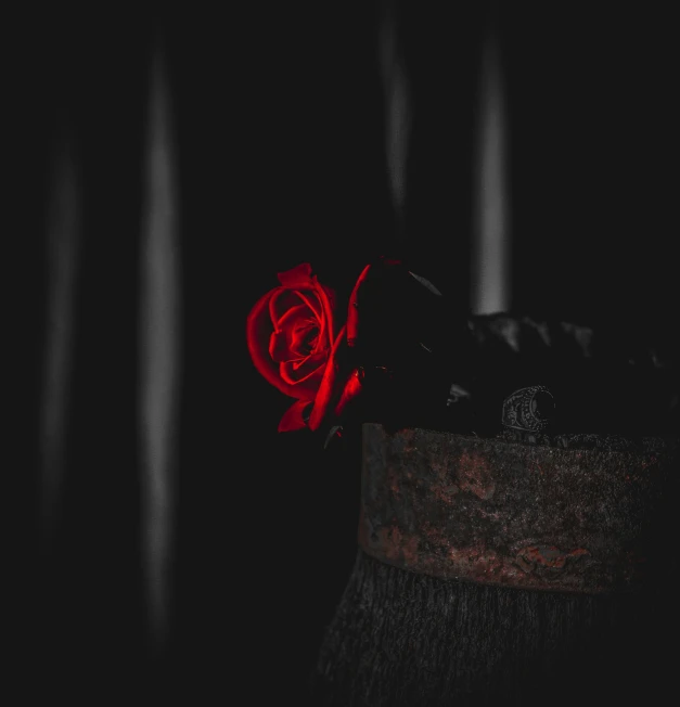 a single red rose sitting on top of a dark table