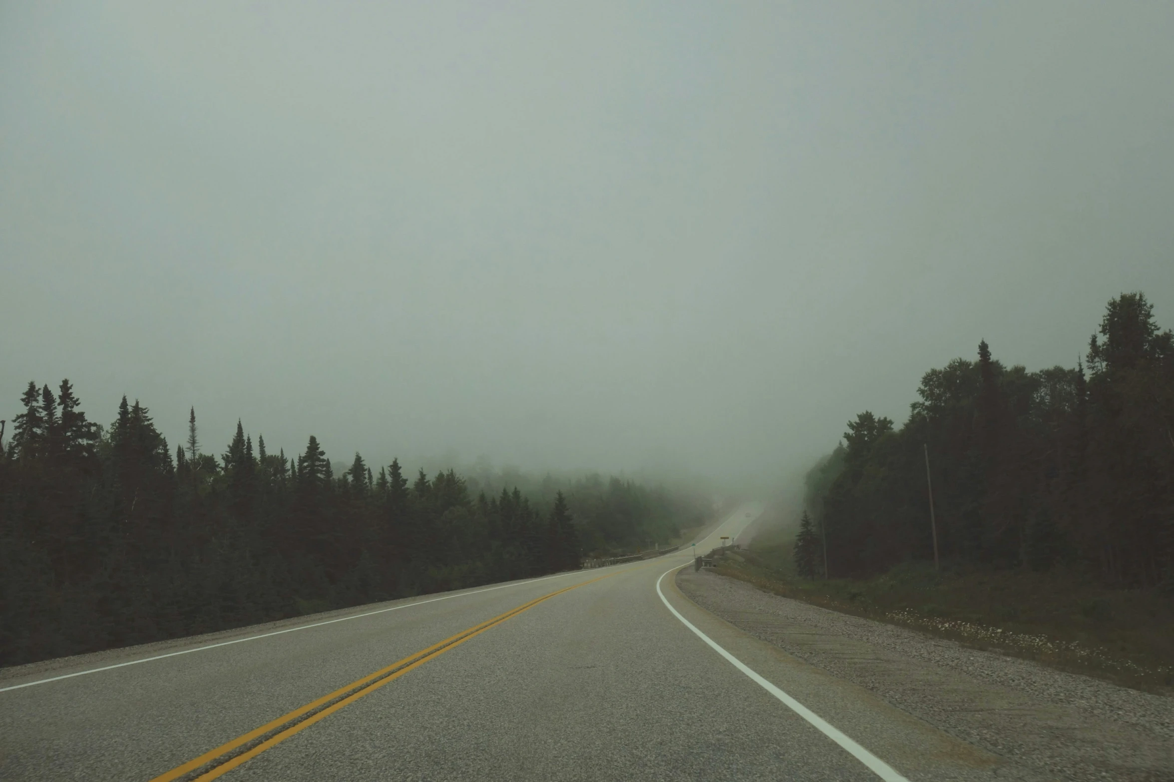 a foggy road with trees and hills in the background