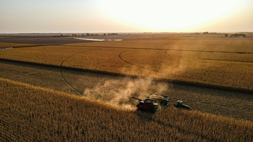tractor spraying corn on large field at sunset