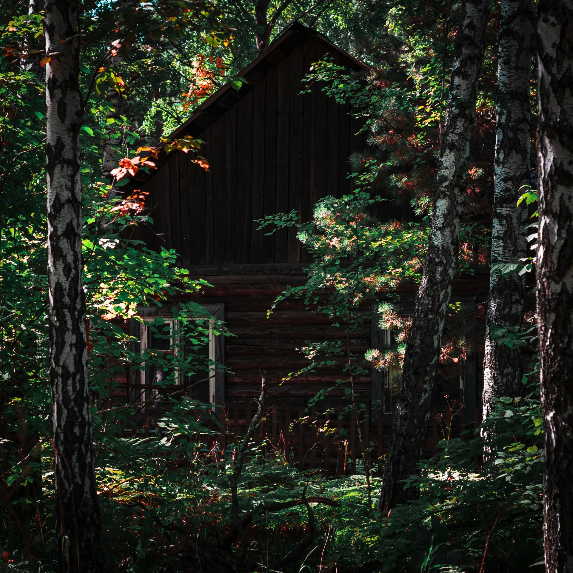 the cabin sits among the trees in the woods