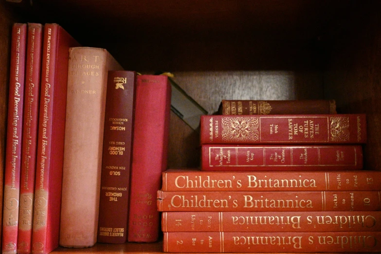 books are on a shelf lined with red ones