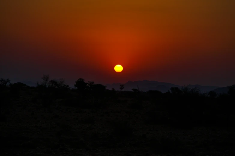 a giraffe is walking across the field as the sun sets