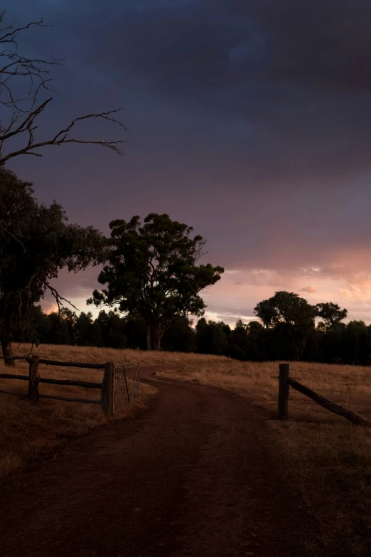 a horse stands in the middle of a fenced field