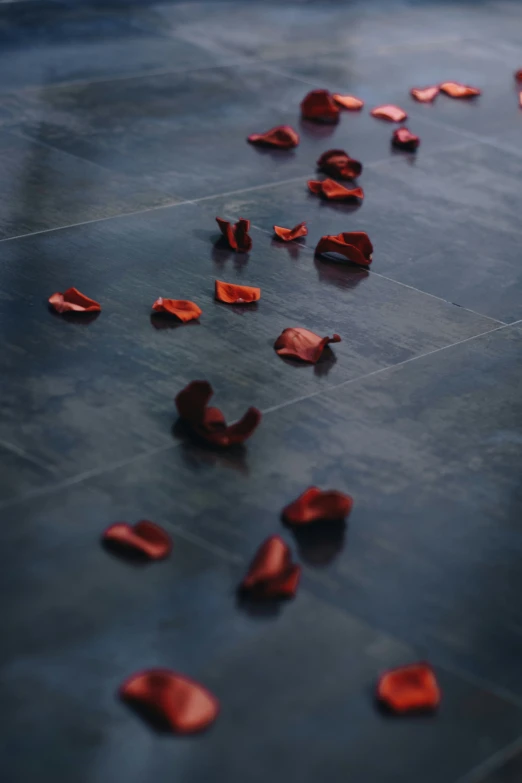 red petals on the floor with one being petals