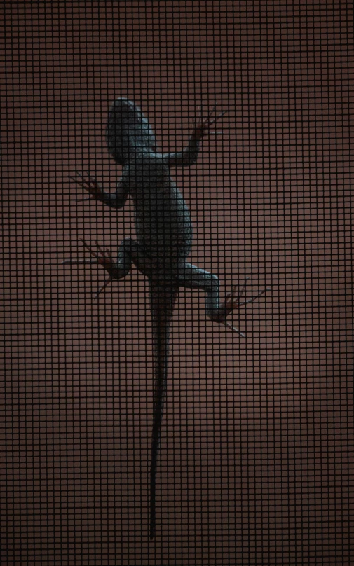 silhouette of small child with arms outstretched on screen