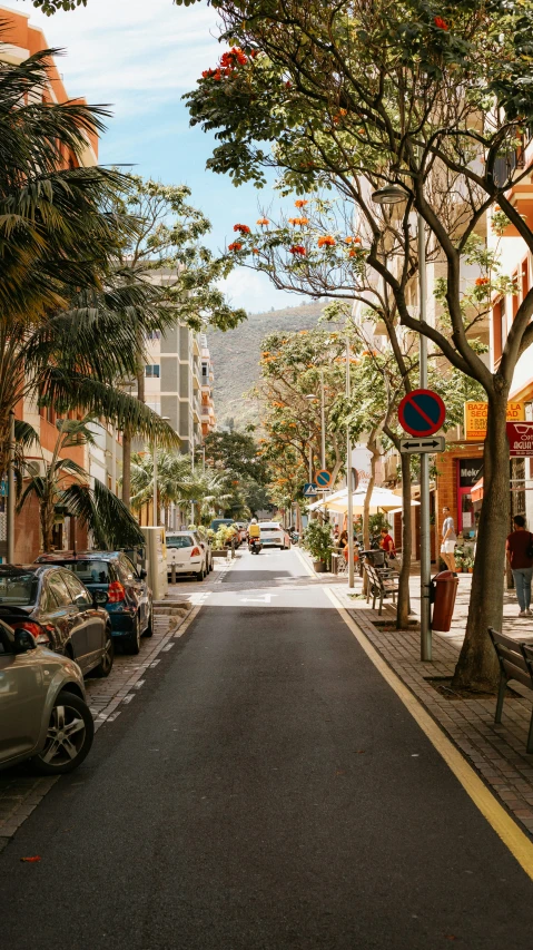 cars are parked along a city street lined with shops