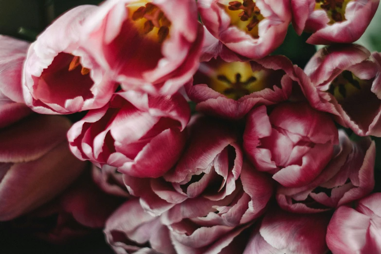 a bunch of pink flowers sitting on top of a wooden table