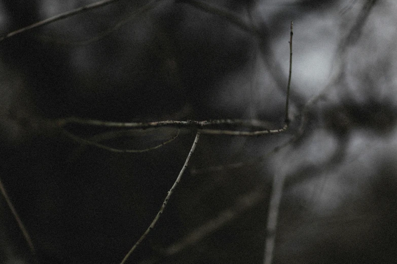 a close up of an open umbrella in the dark