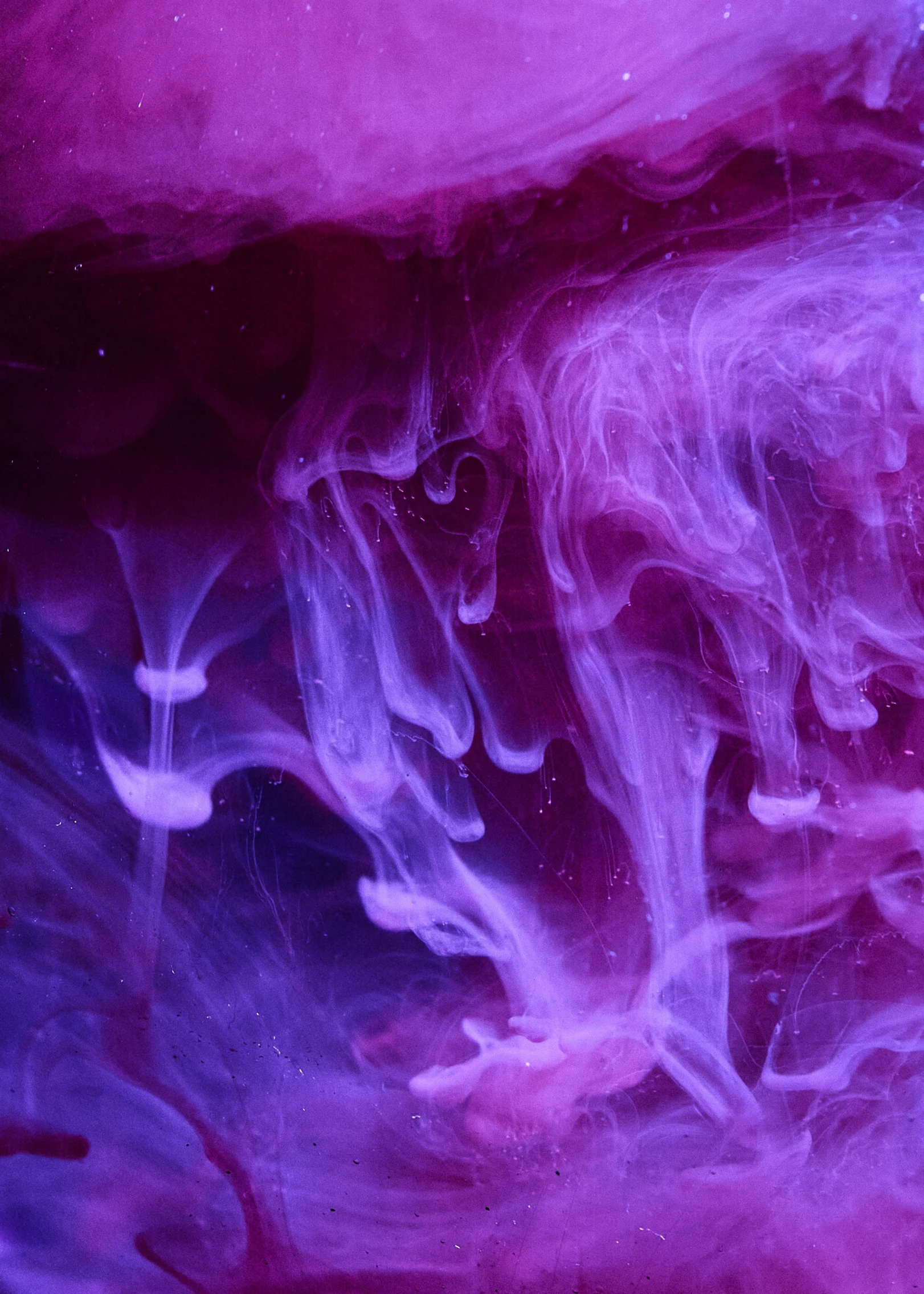 an abstract background with smoke rising in purple and pink