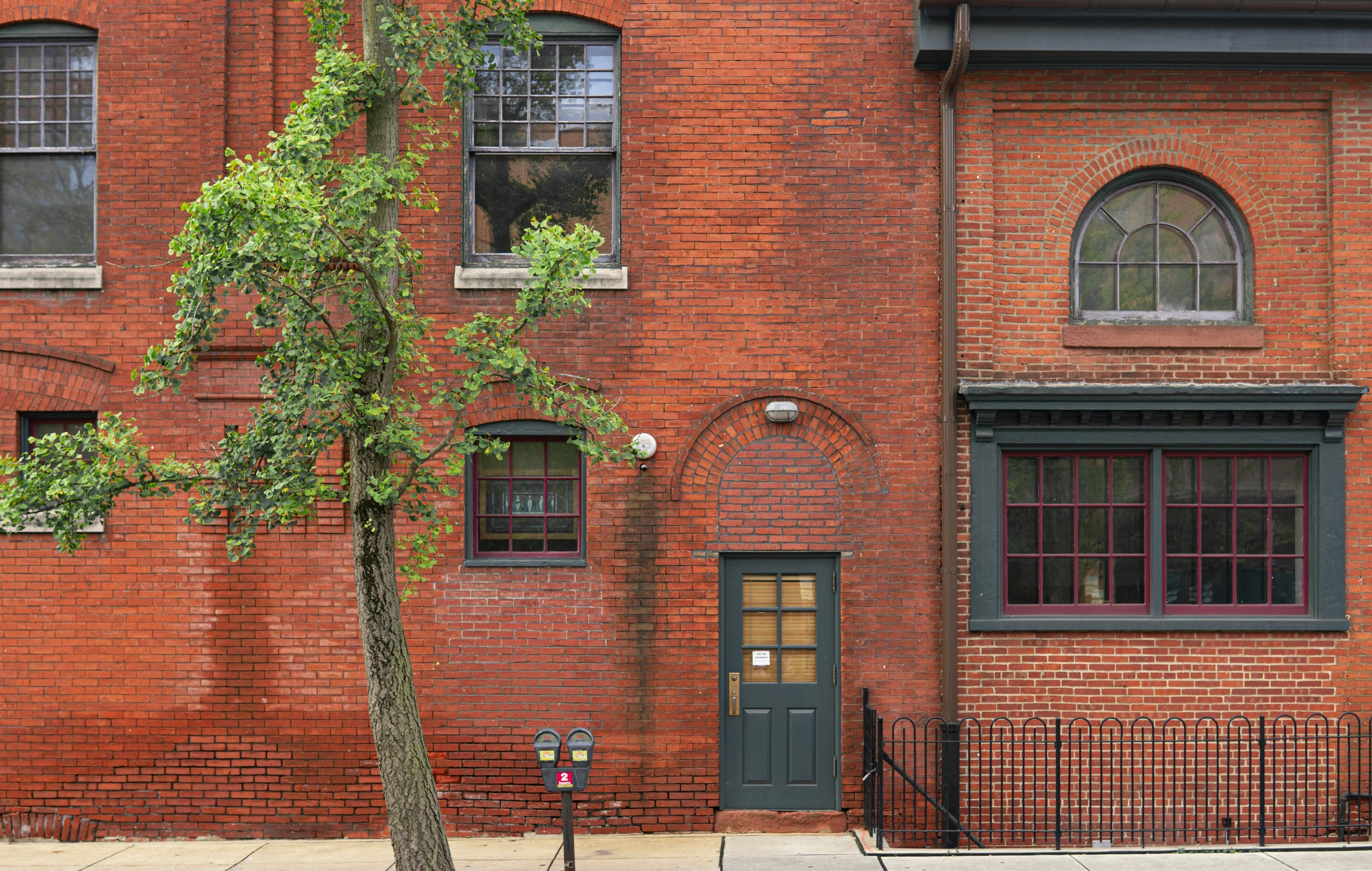 a tree sits next to a street light and an old brick building