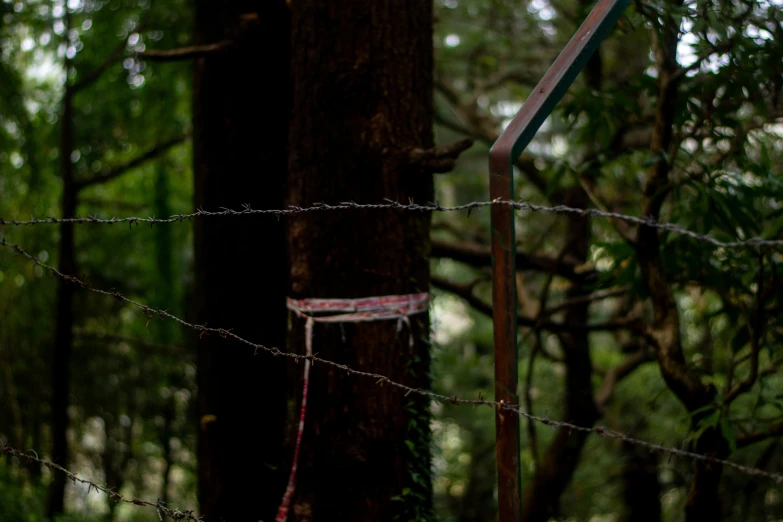 a wire fence is standing beside a tree