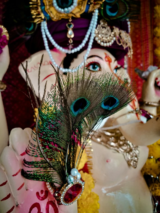 peacock feathers in a woman's head on display