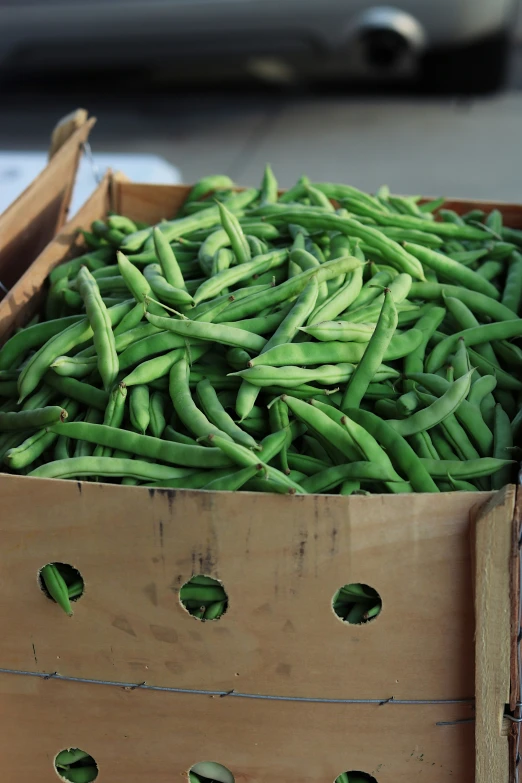 fresh, green beans sit together in a brown box