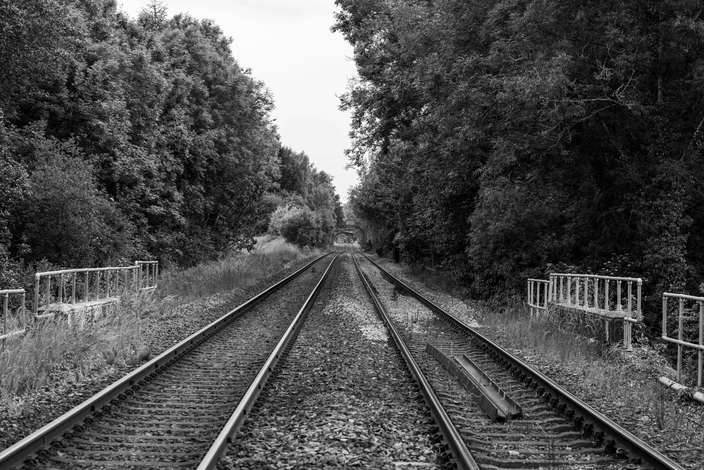 train tracks and trees, on an overcast day