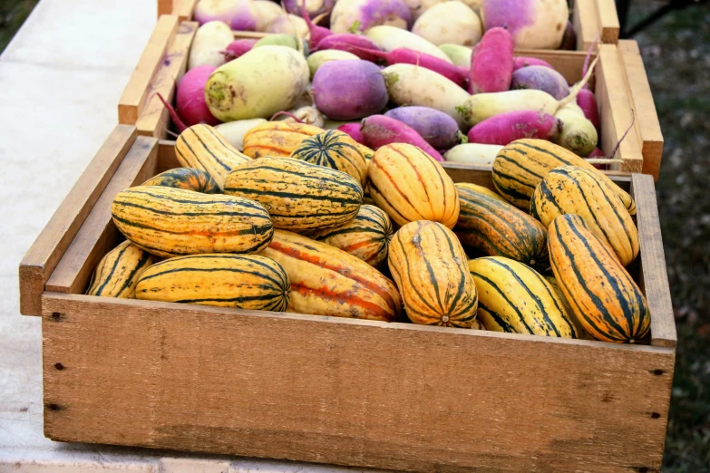 a wooden box with assorted squash sitting on the ground