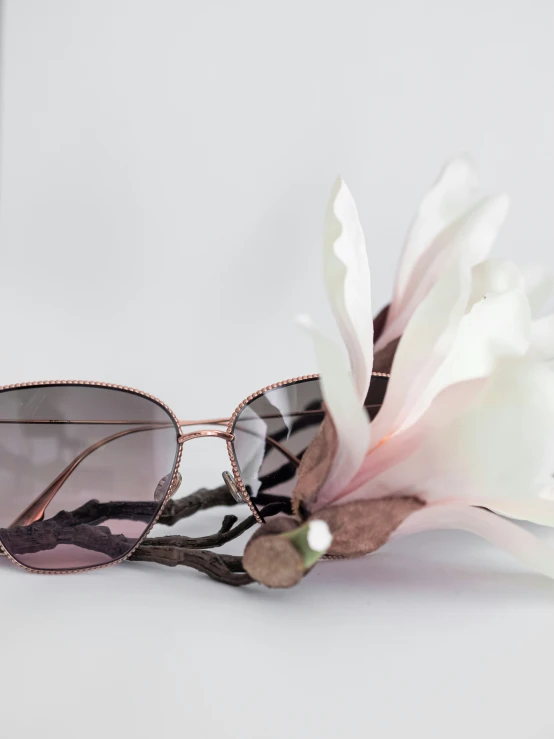 the sunglasses is sitting on a pink flower