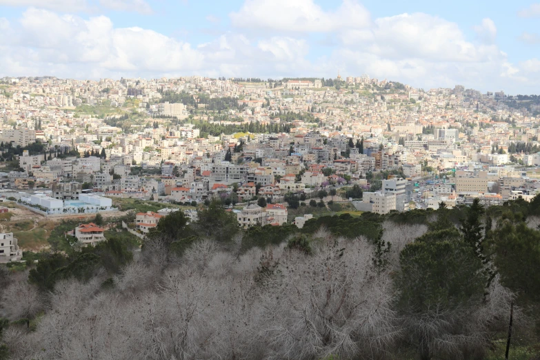 a city nestled on top of a hill, with many trees