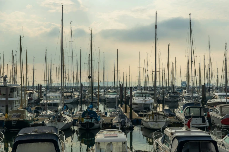 a large number of boats are parked together