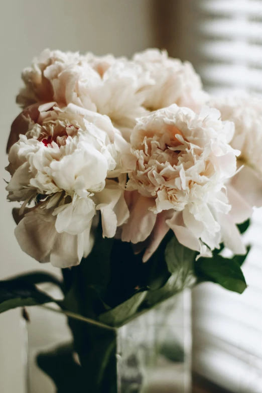 flowers are in a vase, on the table