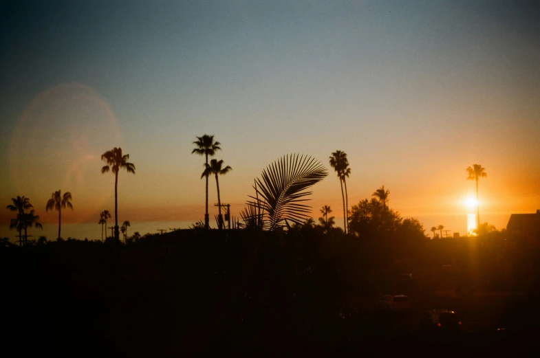 a sunset with a palm tree silhouette