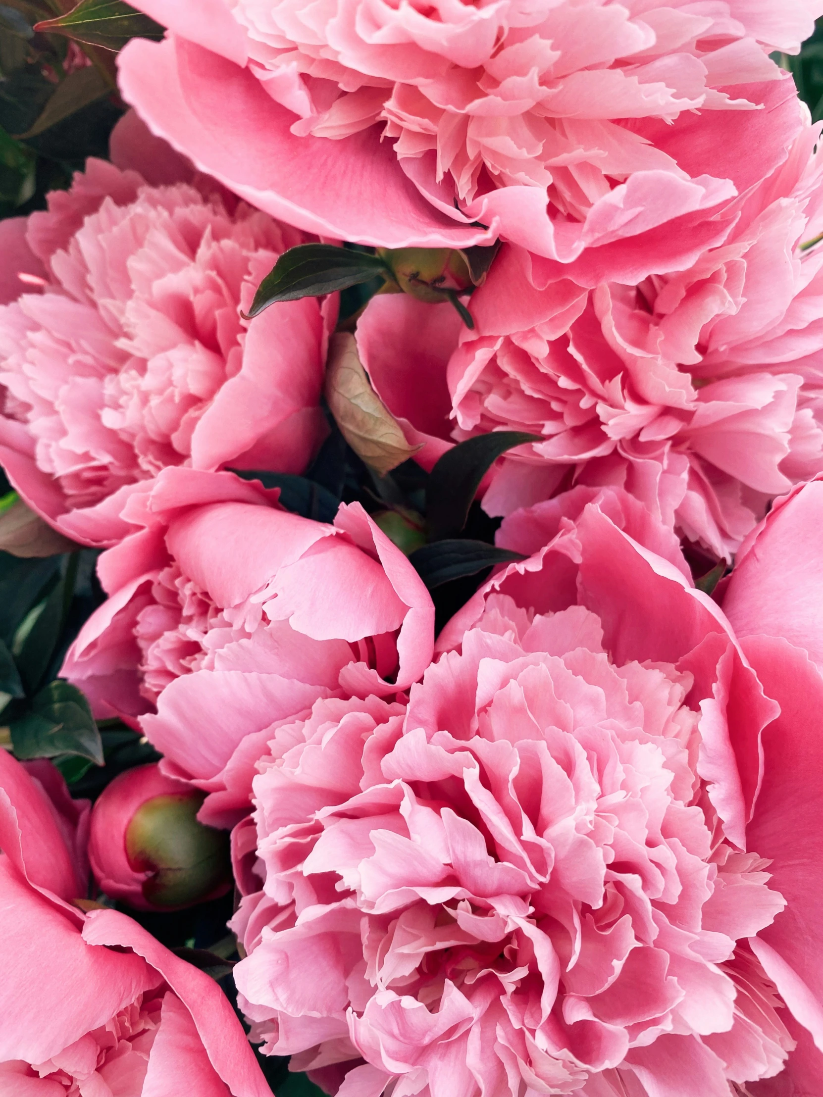 large pink flowers in the middle of a bouquet