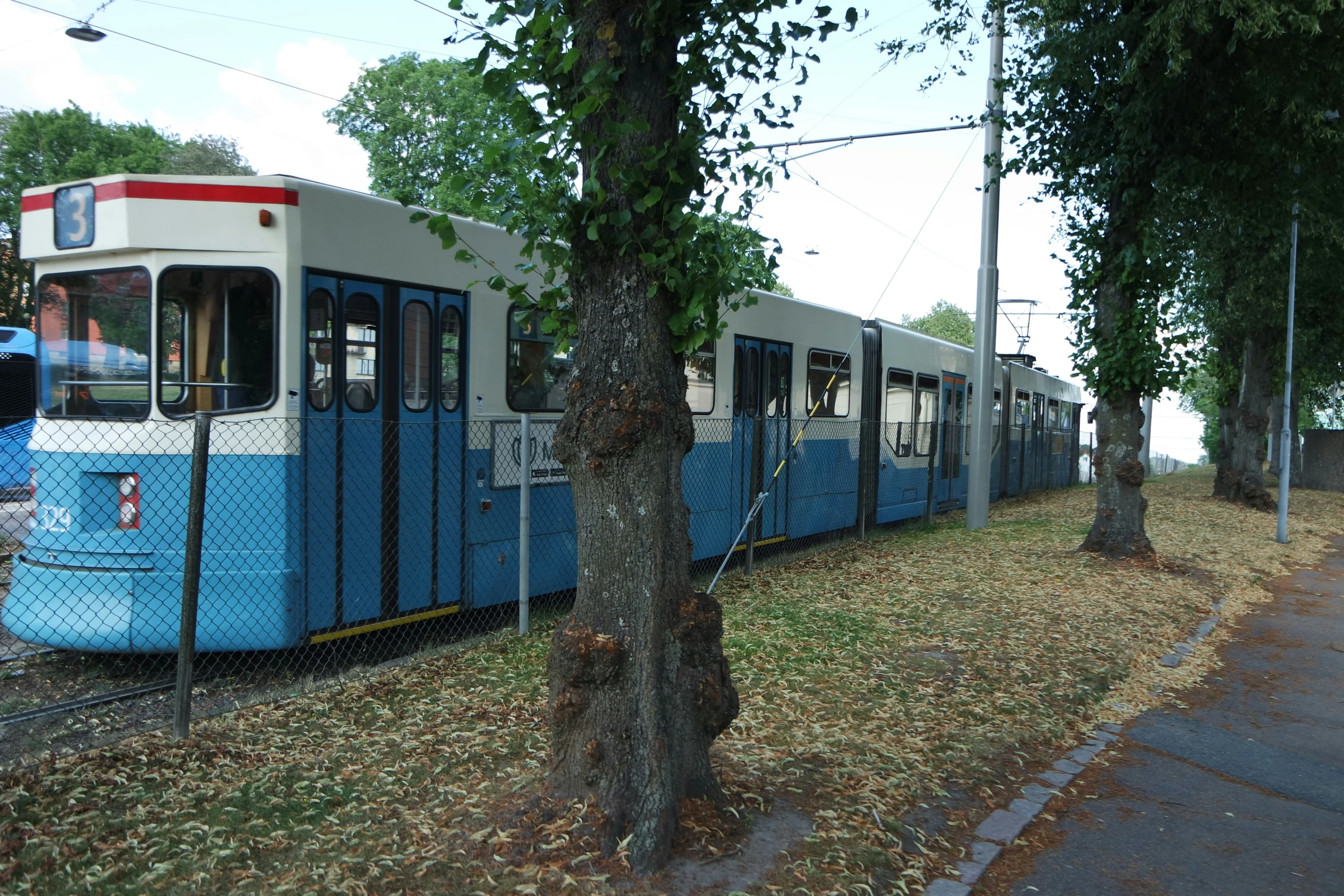 a train traveling down tracks next to a tree