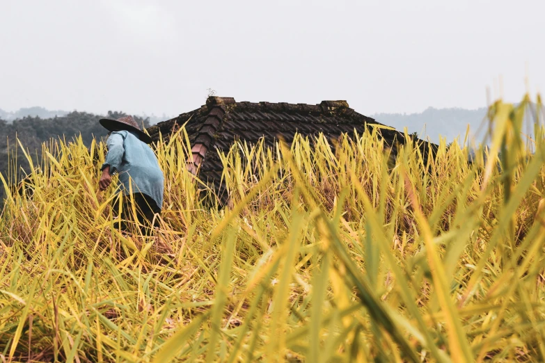 a person with a hat and coat in a field