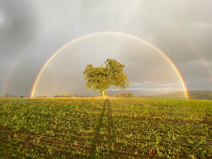 two rainbows shine over an open grassy field with trees