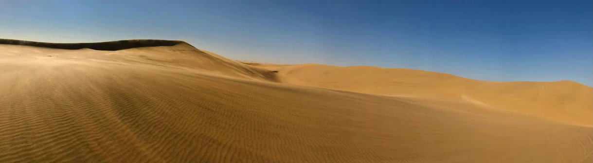 a lone bird flying over a dune at sunset