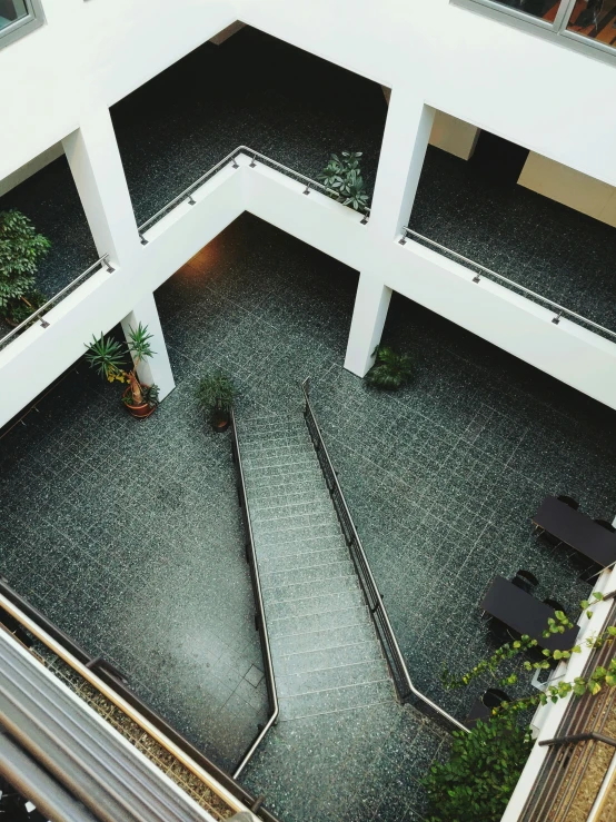 an atrium with tables and umbrellas has a plant on the floor