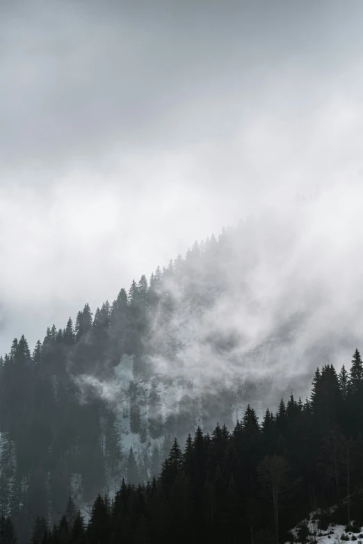 a landscape scene with mountains, fog, trees, and clouds