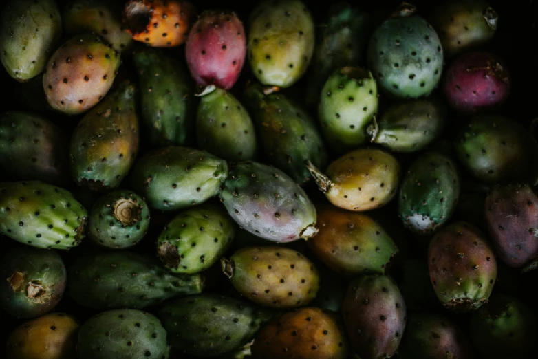 a bunch of rotten fruit including mangoes and guacamole