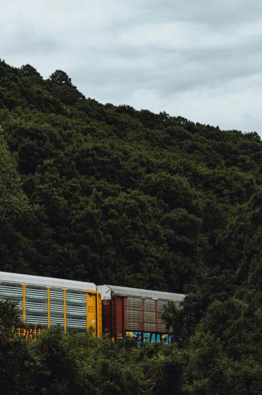 a train car on a train track passing some bushes