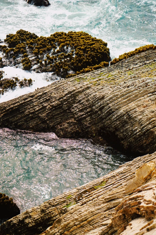 there is a bird sitting on a rock