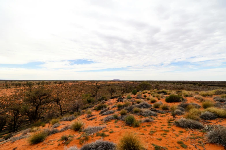 an image of a field that looks out into the sky