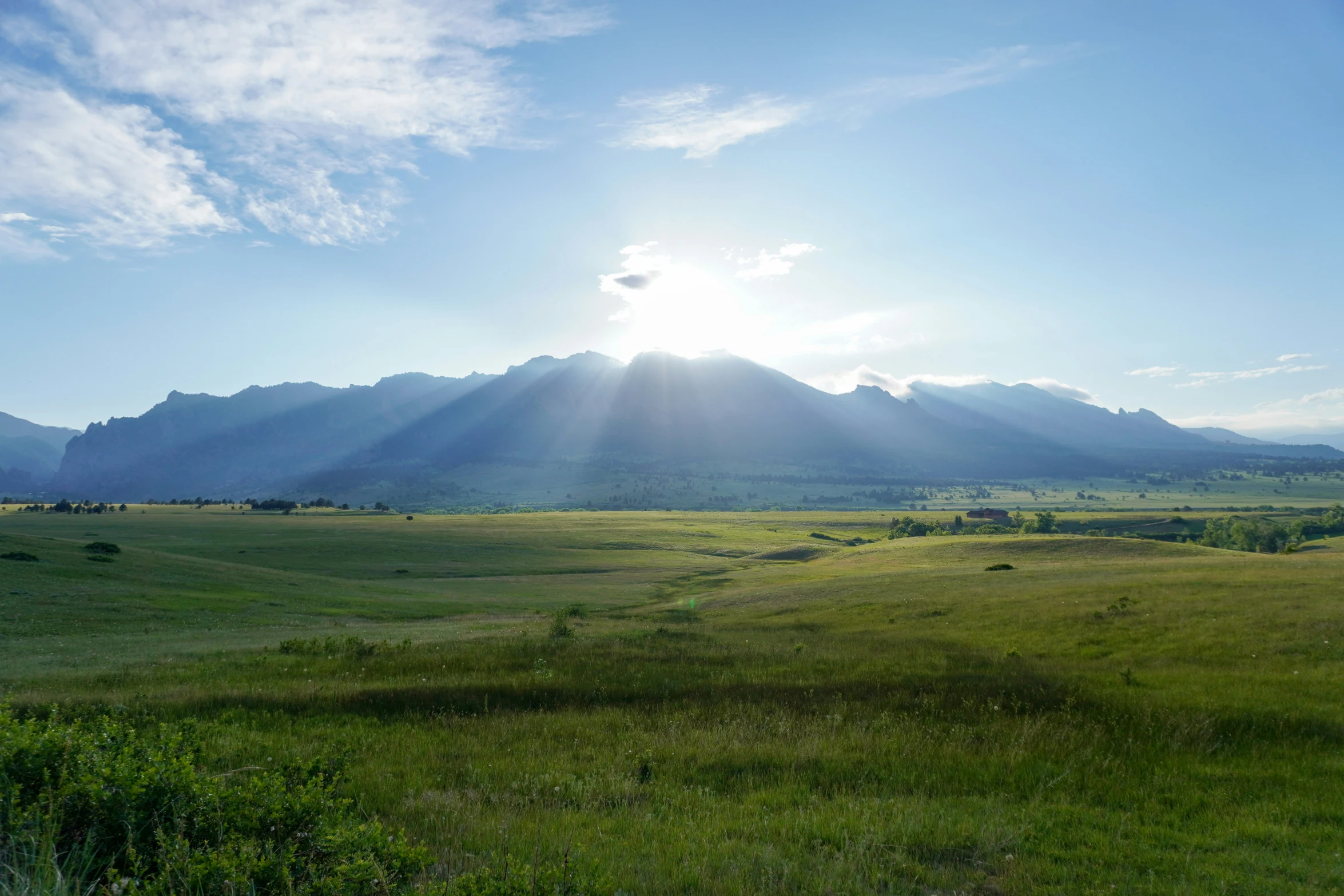 a beautiful green field and a large mountain in the background