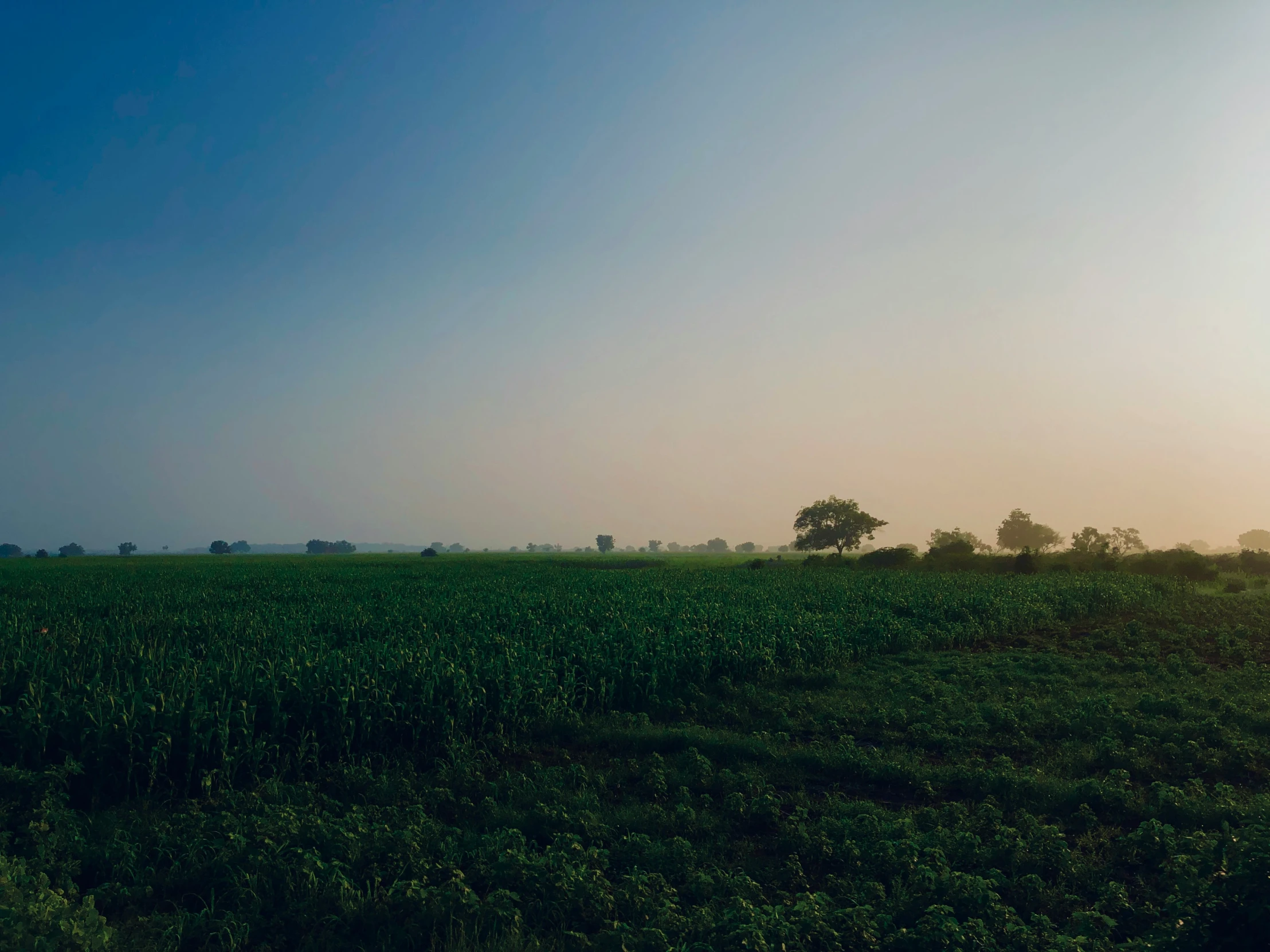 a field in front of a distant sky